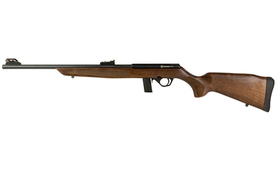 ROSSI RB 22LR 18" 10RD WOOD - for sale