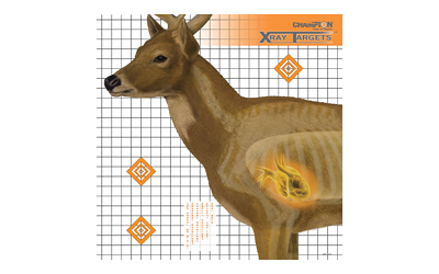 CHAMPION DEER X-RAY TARGET 6/PK - for sale